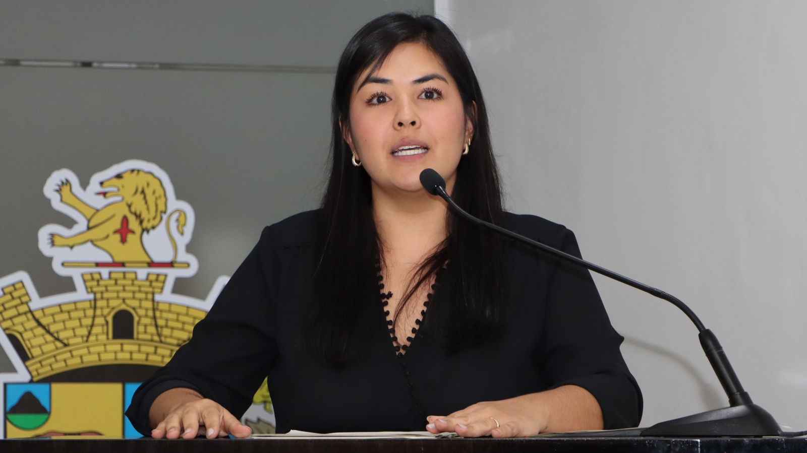 CINTIA YAMAMOTO DESTACA REQUERIMENTOS REFERENTES A SAÚDE E EDUCAÇÃO
