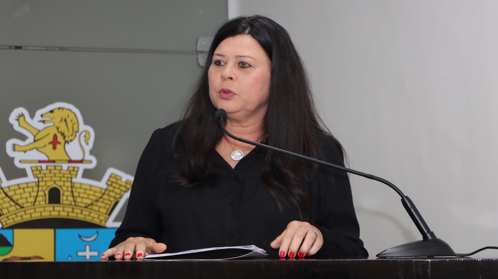 13 10 Luzia Fermino 1